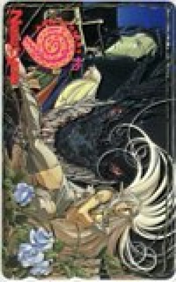 Telecard Telephone Card Record of Lodoss War Newtype 9th Anniversary AK002-0262