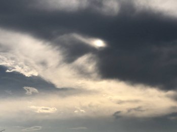 auction image thumbnail 2