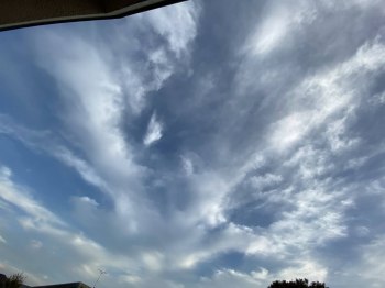 auction image thumbnail 6