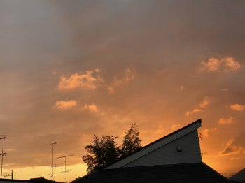 auction image thumbnail 7