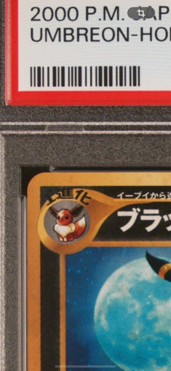 auction image thumbnail 3