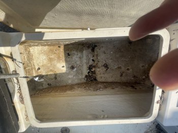 auction image thumbnail 7