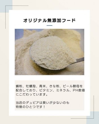 auction image thumbnail 2