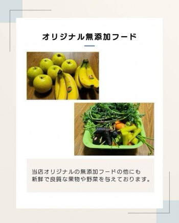 auction image thumbnail 3