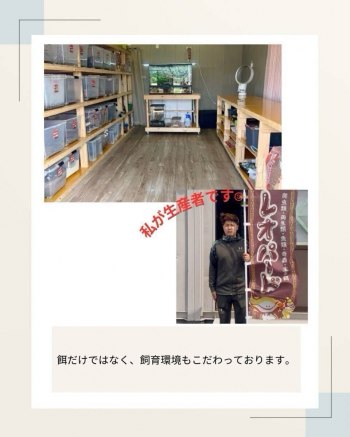 auction image thumbnail 4