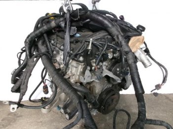 auction image thumbnail 2