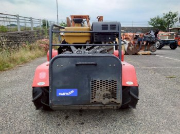 auction image thumbnail 4